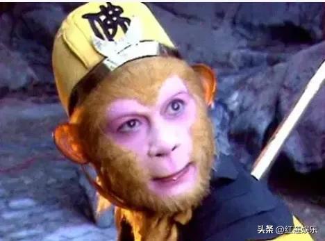 猴子与六小龄童孙悟空,六小龄童生肖猪