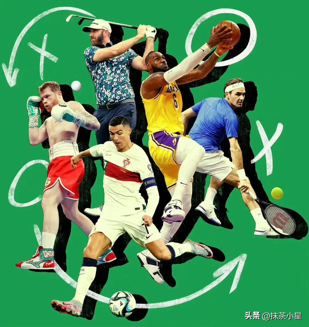 费德勒代言为什么多,费德勒名利双收