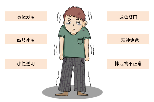 六味地黄丸睡前养肾,滋肝养肾吃哪一种六味地黄丸好