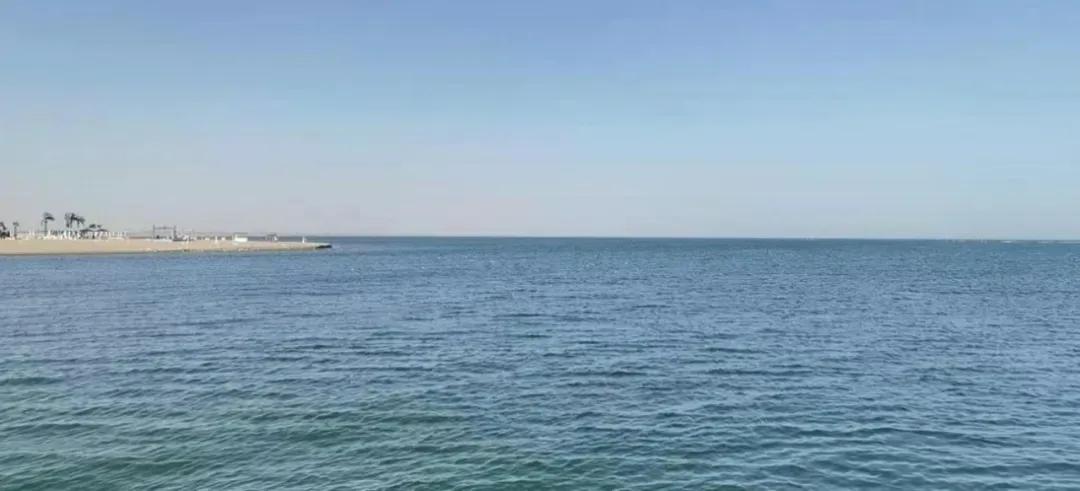 兰州大学人文地理,兰州大学荒漠