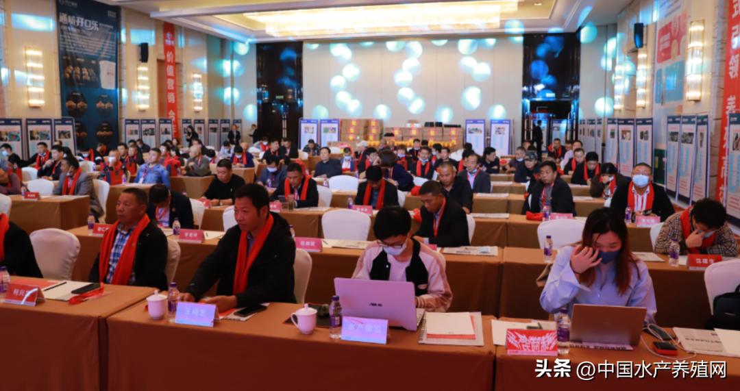 通威10000亿订单,通威股份获千亿订单