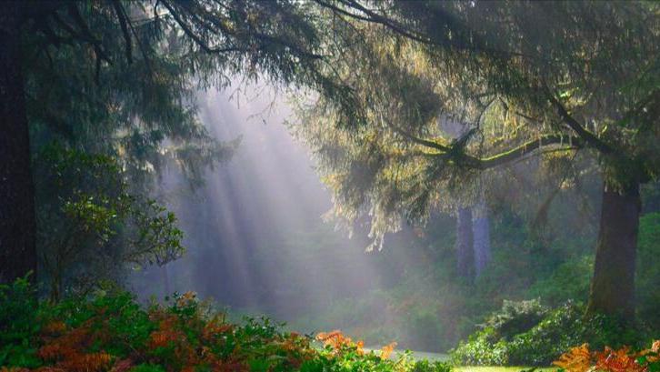 *光春**轻轻地锁住了我和你