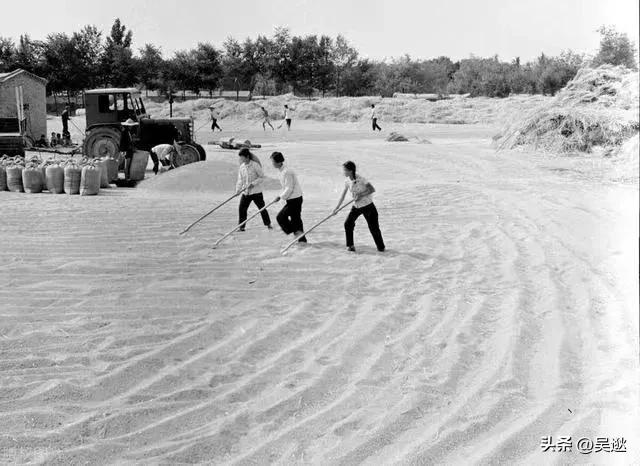 70年代一辆“凤凰牌”自行车180元，放到现在相当于多少钱？