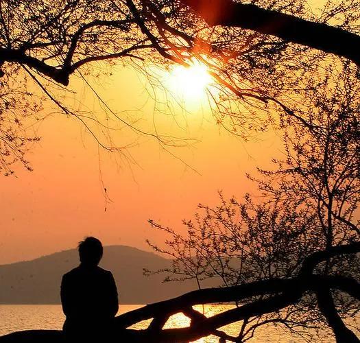 仙居旅游景点,仙居县