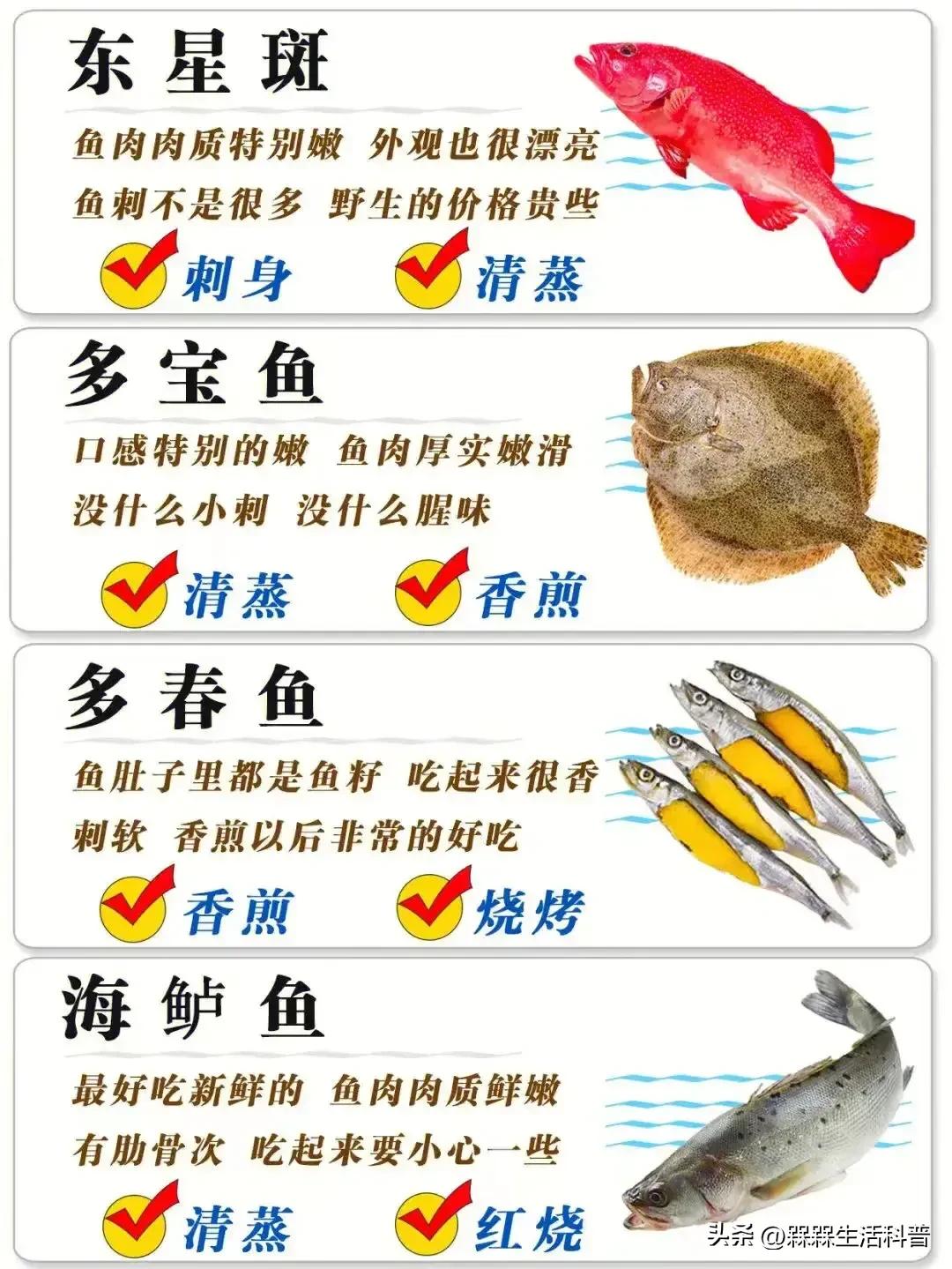 各种鱼图解大全,100种常见家常鱼的图片