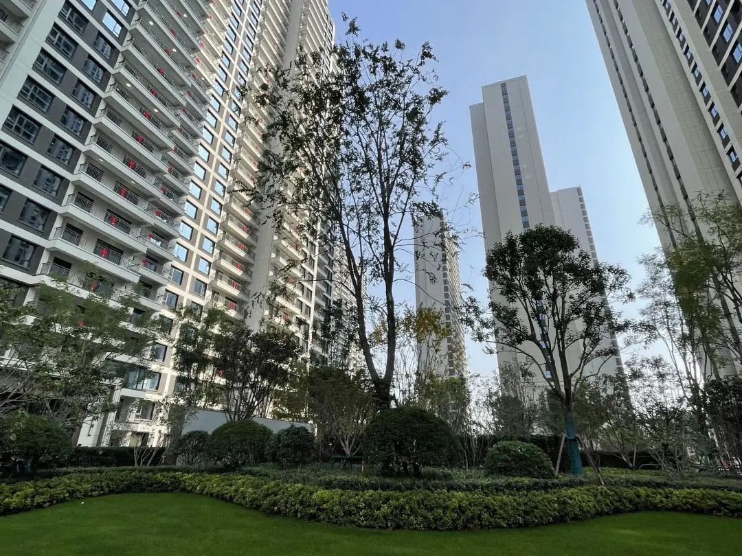 金地交房视频真实记录,金地楼盘验房