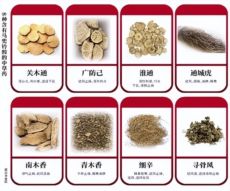 经常食用鱼腥草可能患有肾病，还会致癌？专家：功不可没