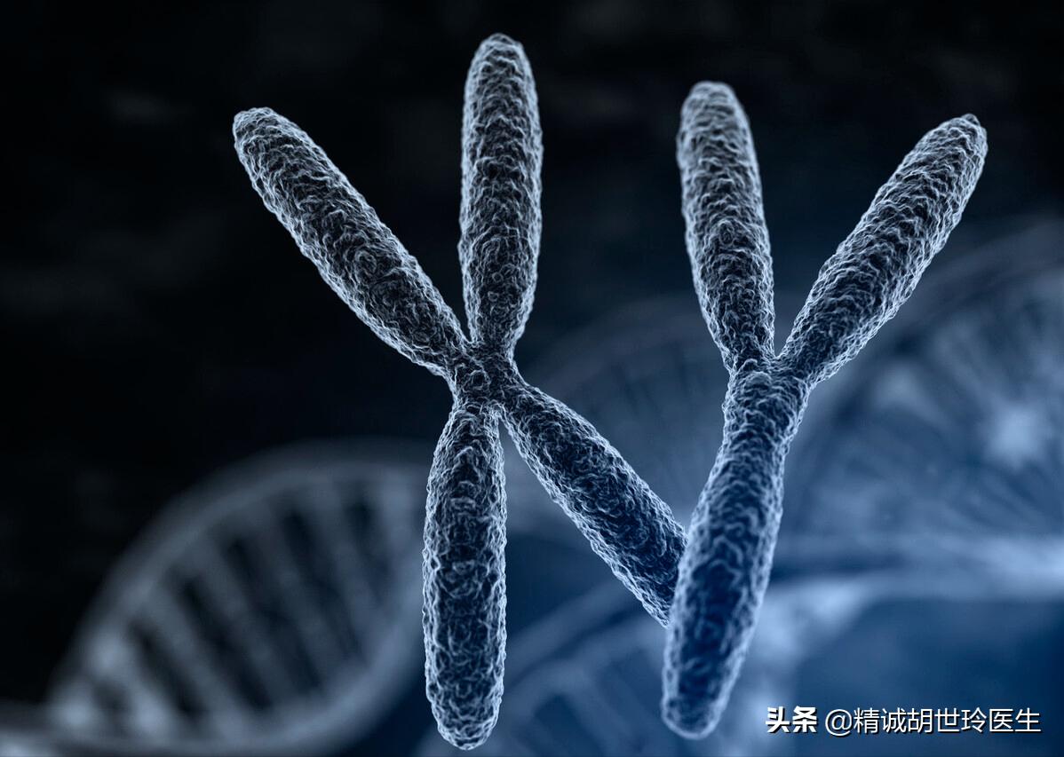 第三代试管婴儿的全部费用,第三代试管婴儿流程步骤