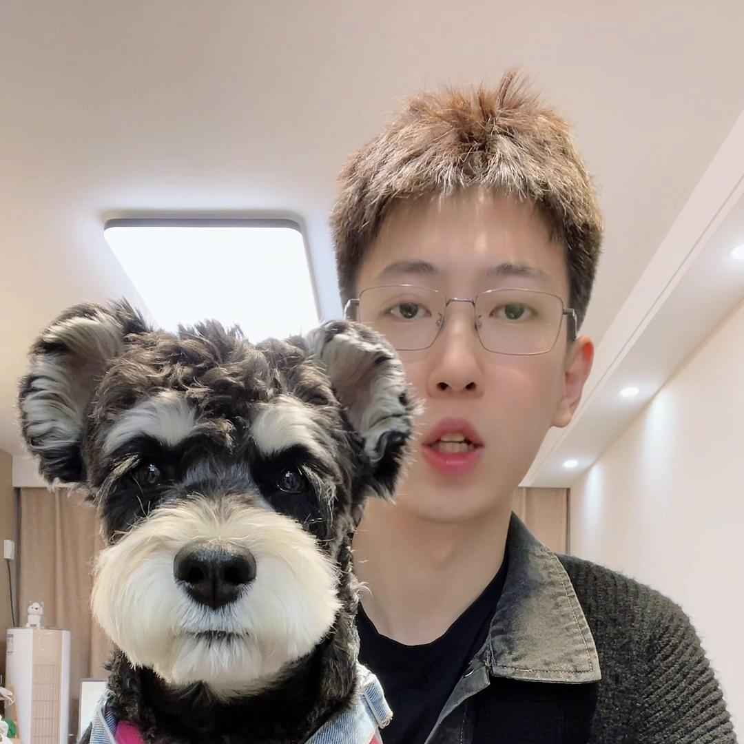 雪纳瑞喂食训练多大开始,白胡子雪纳瑞吃什么