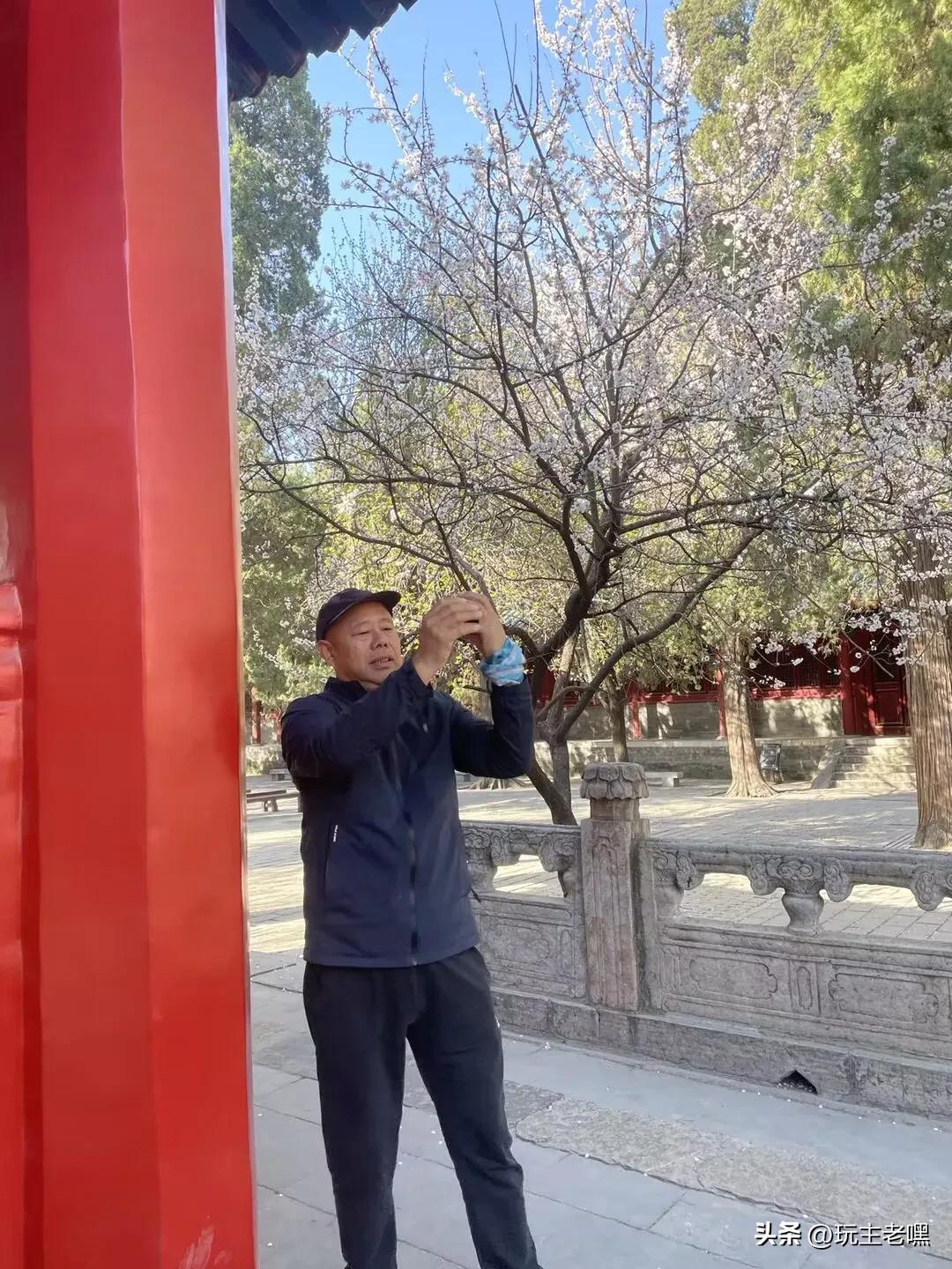 孔庙曲阜三孔景区纪录片,曲阜三孔圣迹