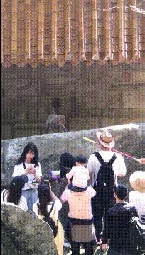 女生衣服上的字母含义,你知道衣服上的字什么意思吗