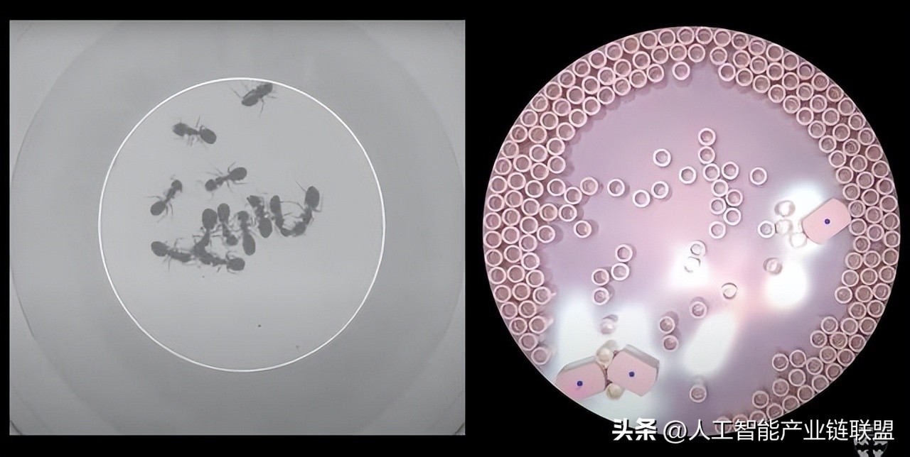微博拟15亿元收购新浪网，糗事百科宣布将关闭服务