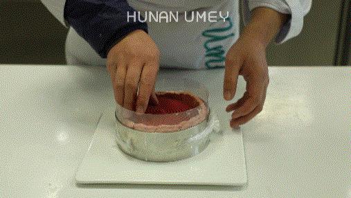 夏洛特公主蛋糕,草莓夏洛特慕斯蛋糕