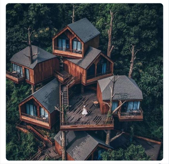 克林顿布什奥巴马合影,克林顿希拉里老照片