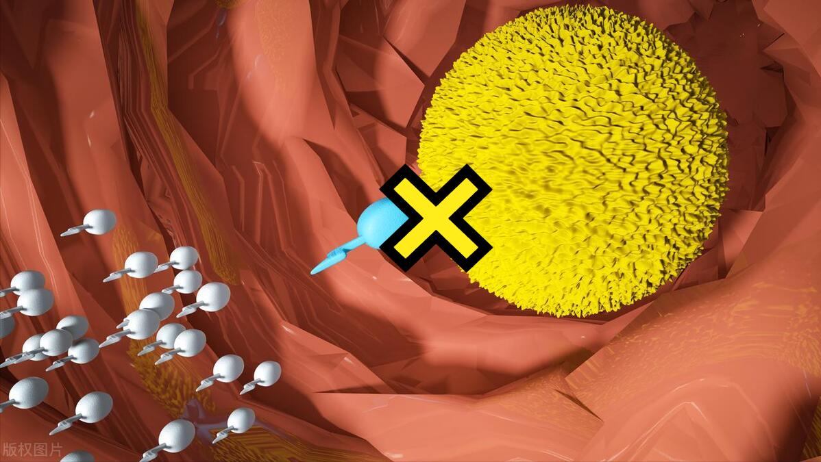 避孕药左炔诺孕酮吃一片能管多久,左炔诺孕酮避孕药多久才有副作用