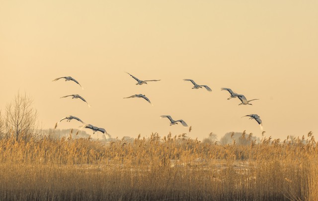 年轻爸爸和不到一岁的宝宝有错吗？从单元被封说起