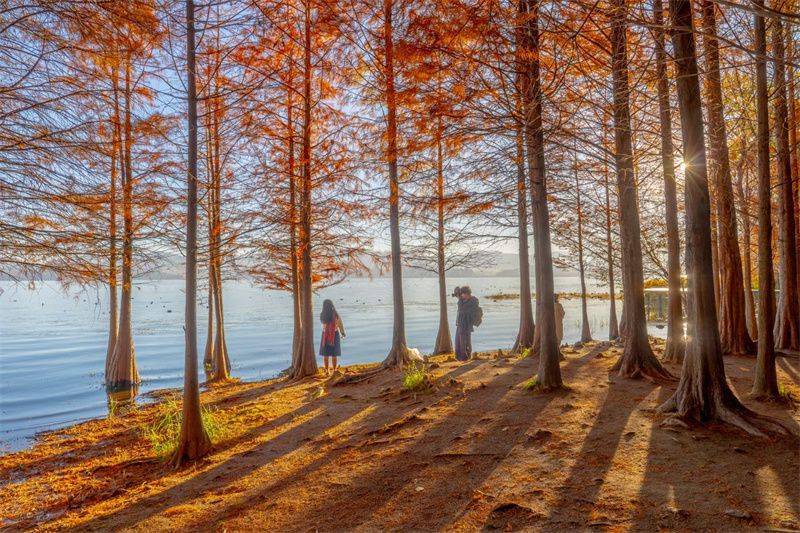 大理开启大理之旅,冬季的大理适合旅游吗