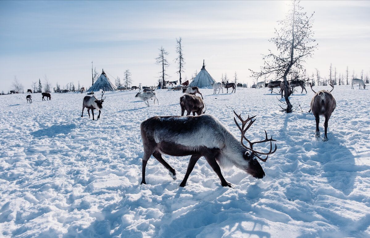 俄罗斯人的日常生活图片,俄罗斯人的真实照片