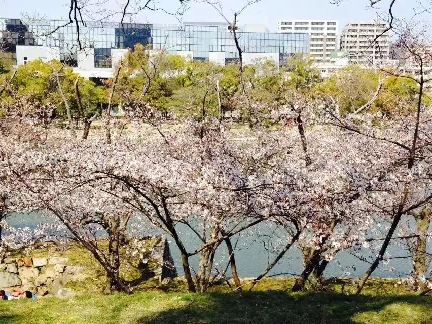 段哥直播卖车视频,段哥在抖音