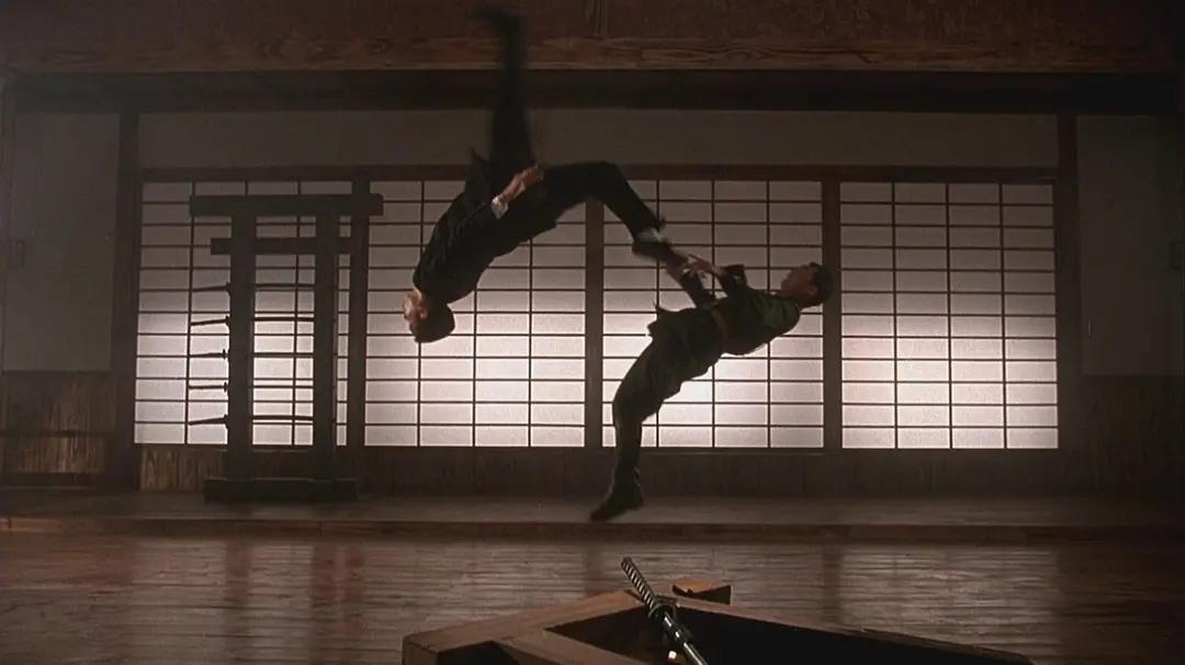 片荒推荐几部拳拳到肉的动作电影,一部拳拳到肉劲爆的动作电影