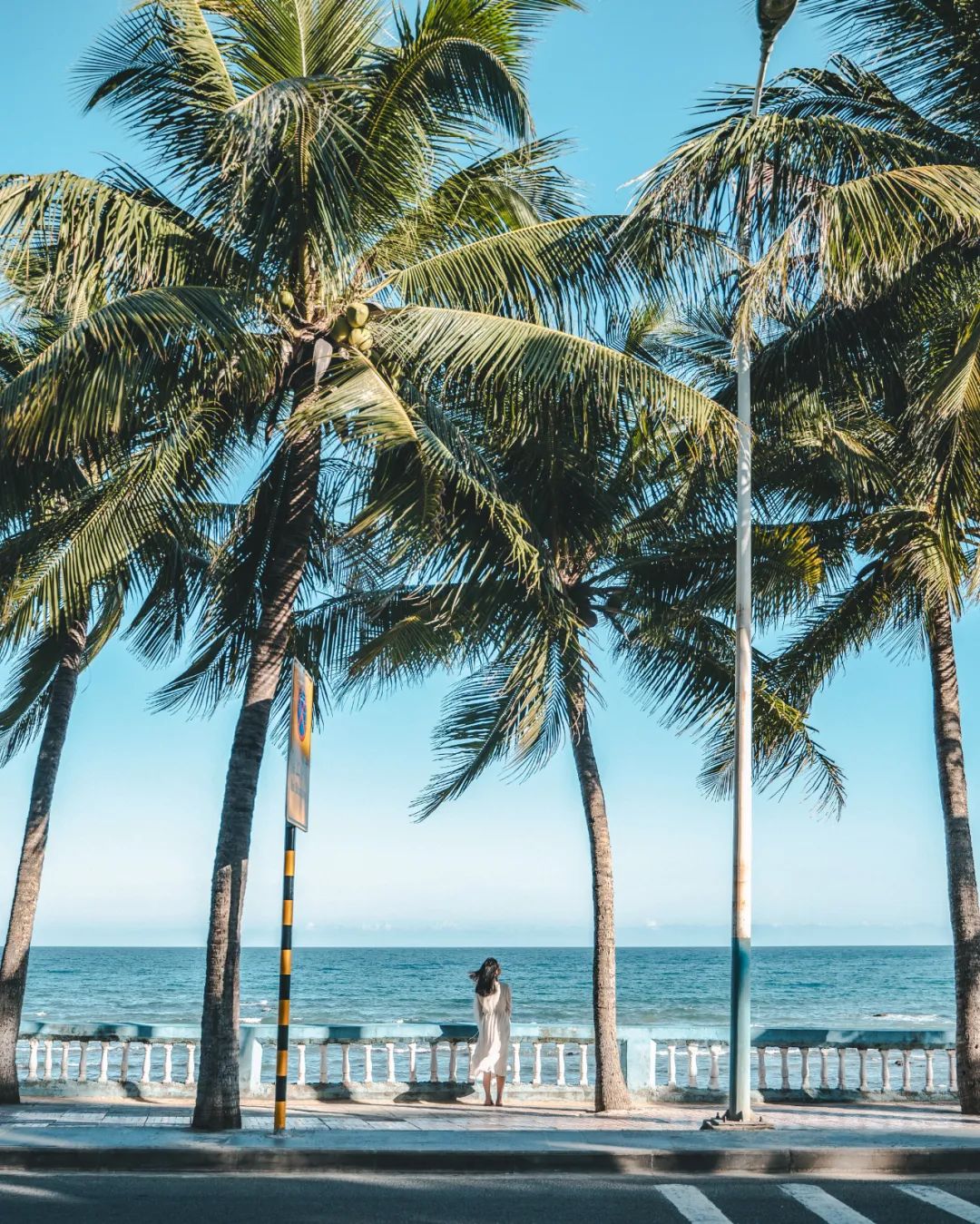 冲上热搜！全长1000公里的最美公路，带你了解新晋避暑胜地的黑马