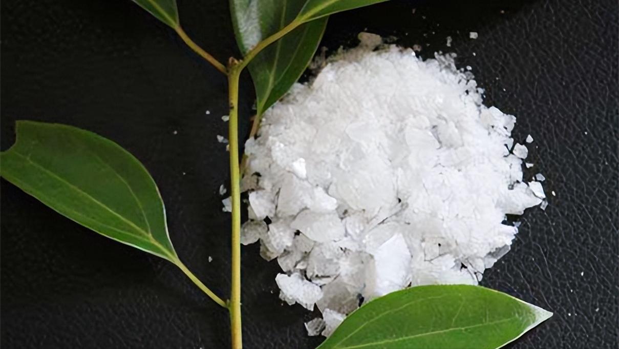 心脏病速效救心丸有用吗,速效救心丸平常吃对心脏有好处吗