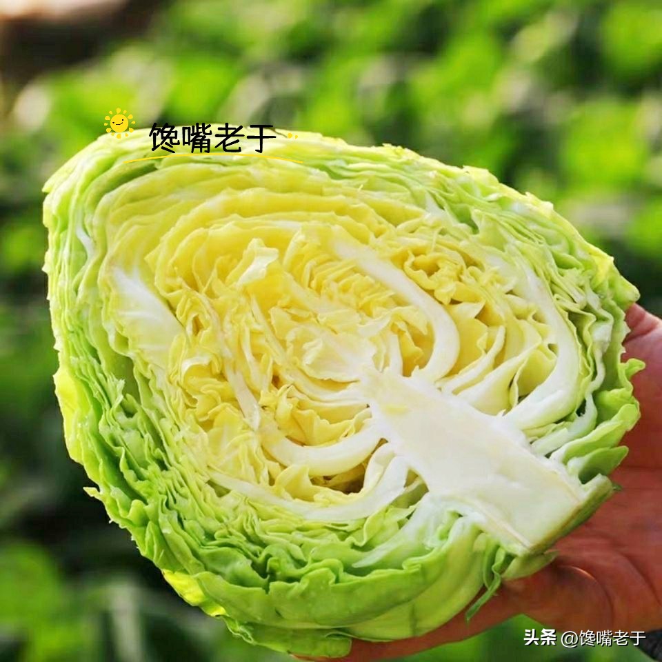 富含叶酸的十种蔬莱,富含叶酸的家常菜