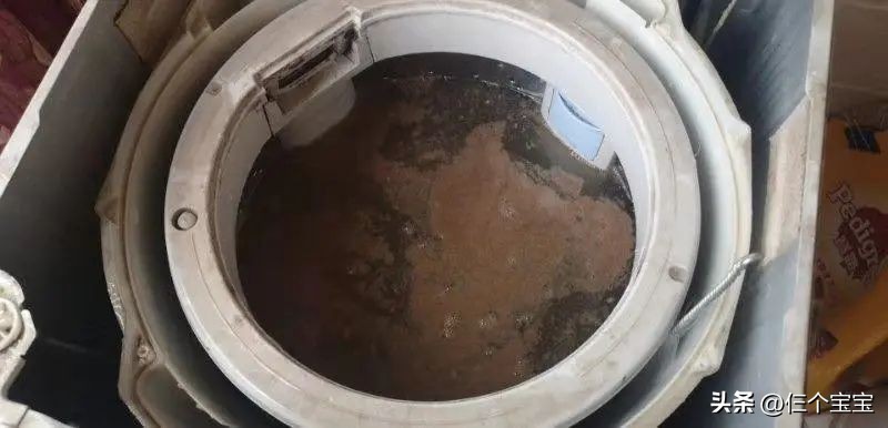 孩子生病容易招脏东西,为什么现在很多小孩子爱生病