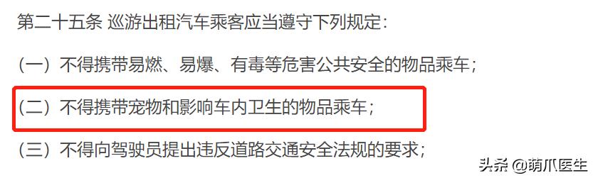 带猫网约车,带猫能打到网约车吗