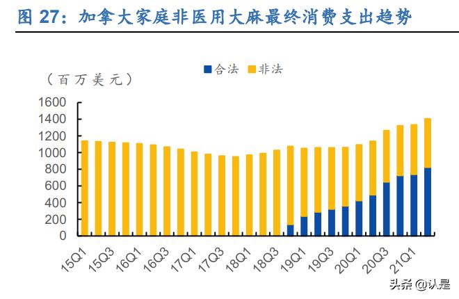 工业大麻的未来发展,工业大麻的未来前景