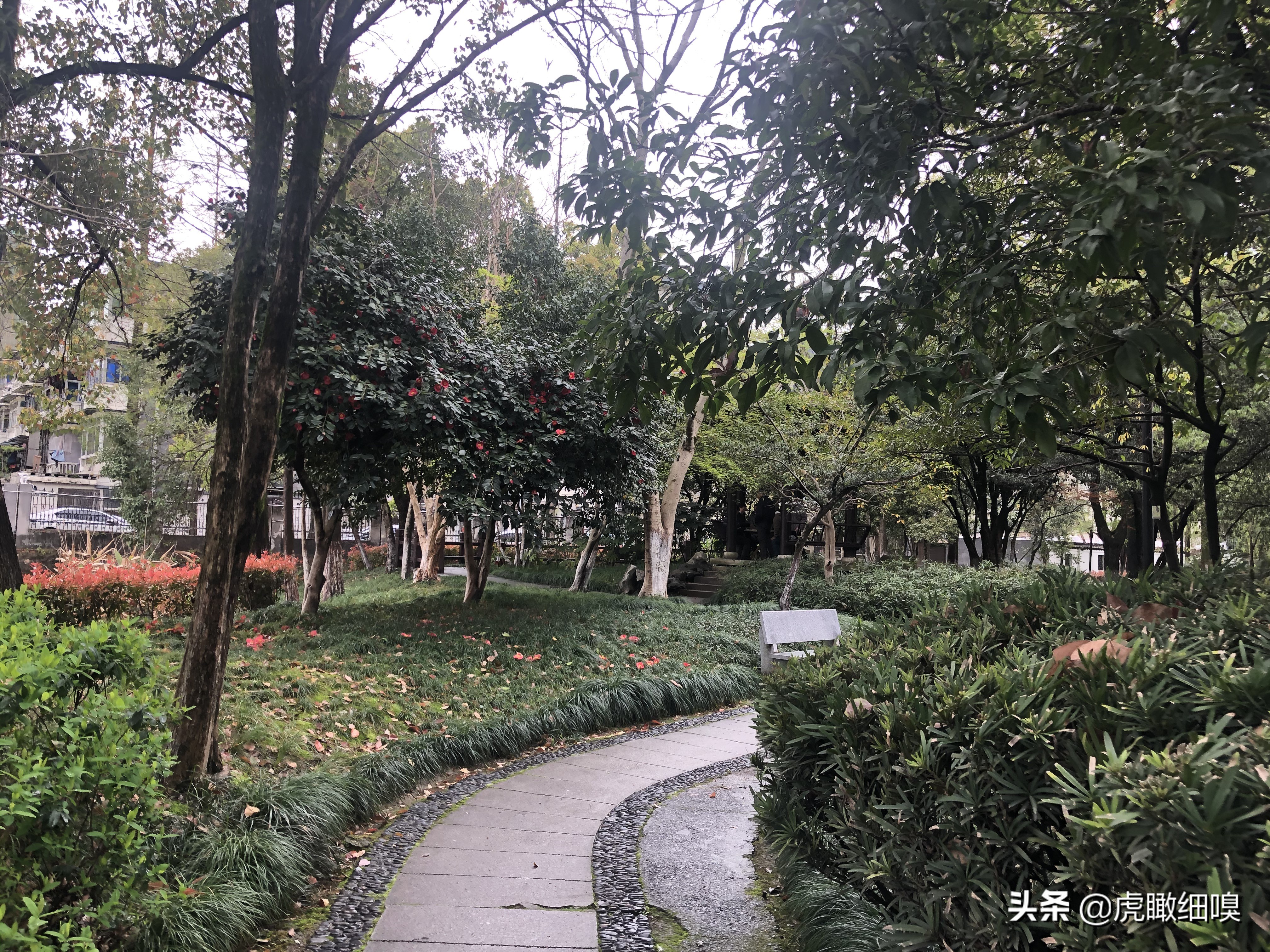 三墩兰里公园变化,杭州兰里公园