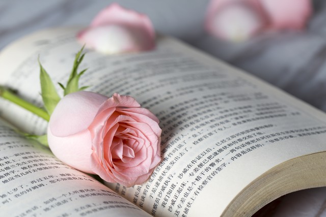 网络小说还有前途吗,你对网络小说的发展前景怎么看