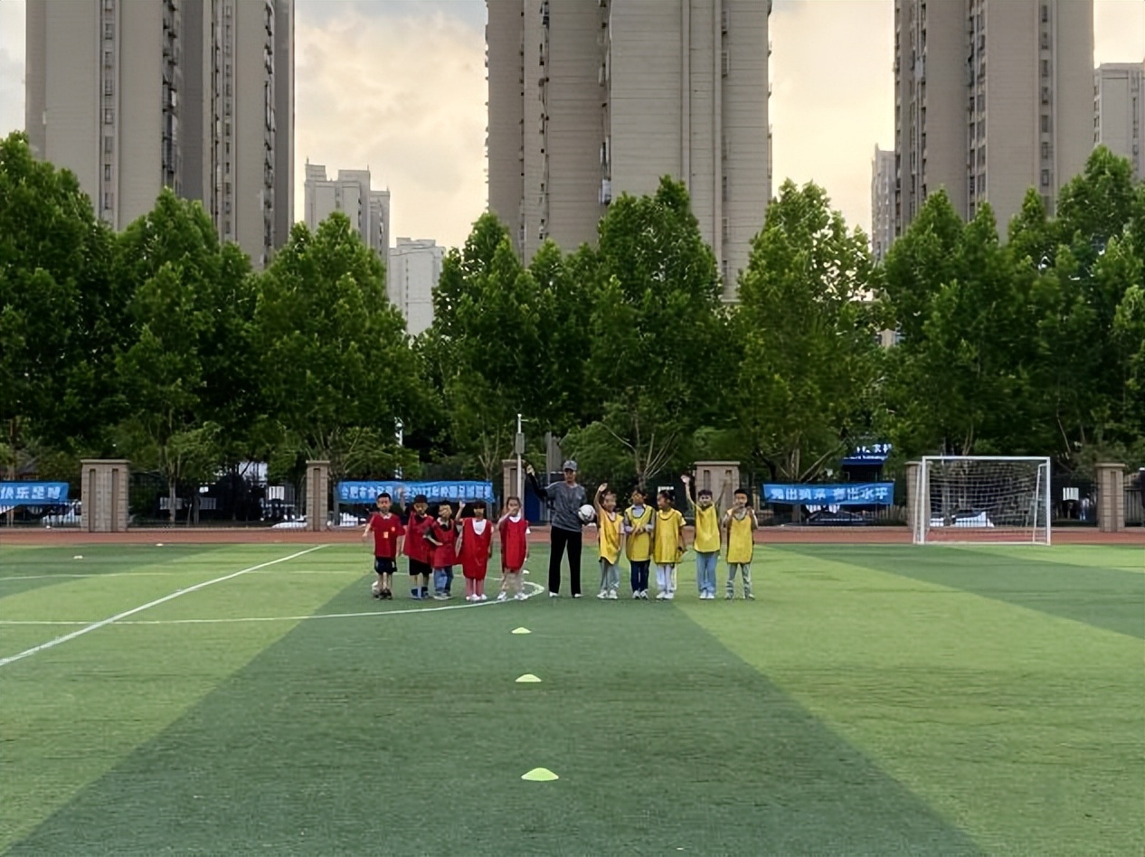 安徽合肥市包河区金葡萄小学,合肥市金葡萄小学