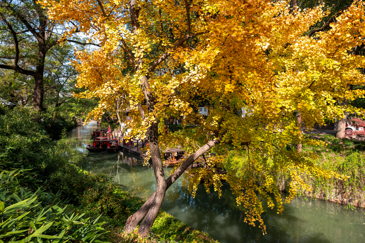苏东坡到虎丘一游说到哪句名言,苏东坡为什么对虎丘评价很高