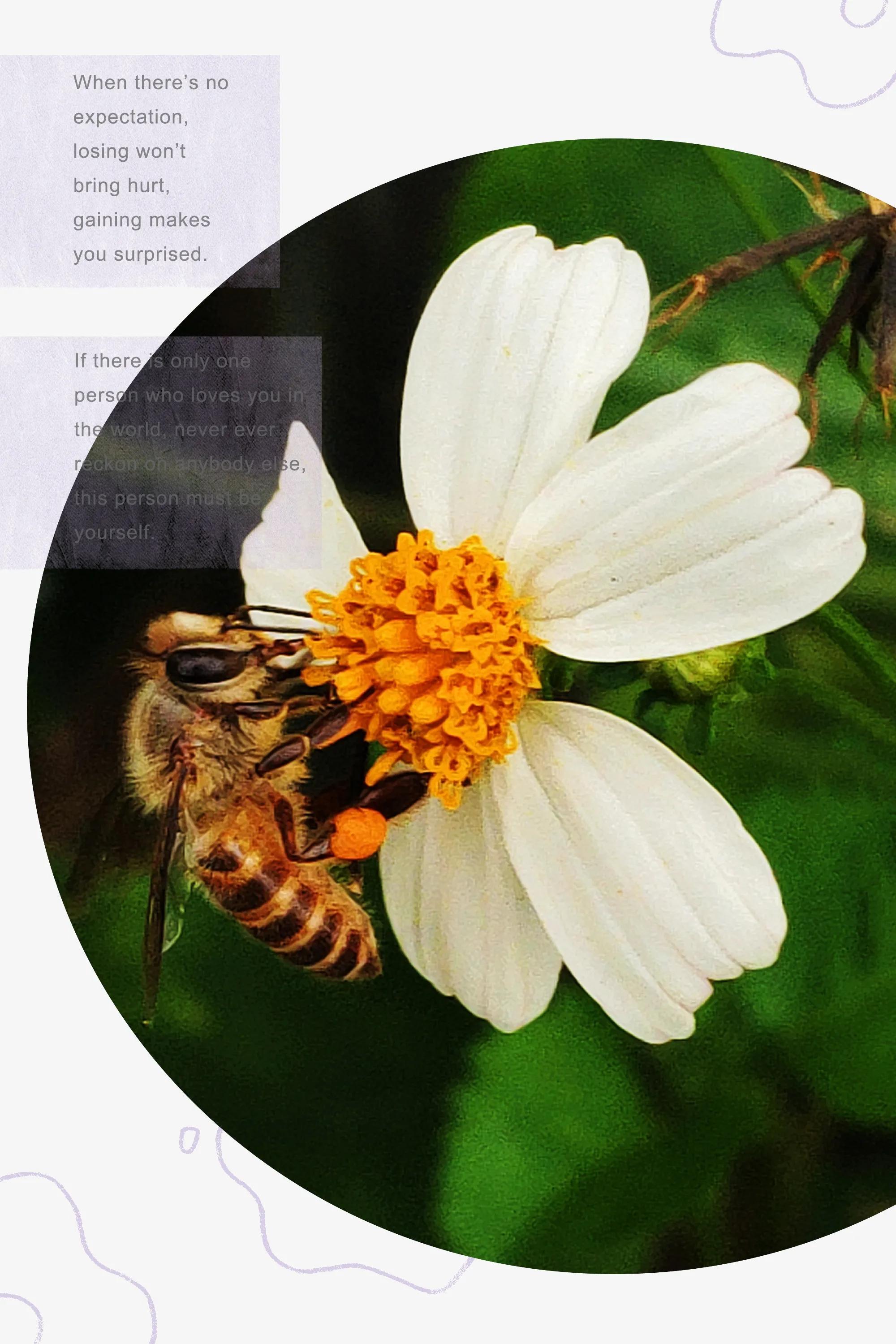 田园美景竖屏大图,乡村田园风景手机怎么拍