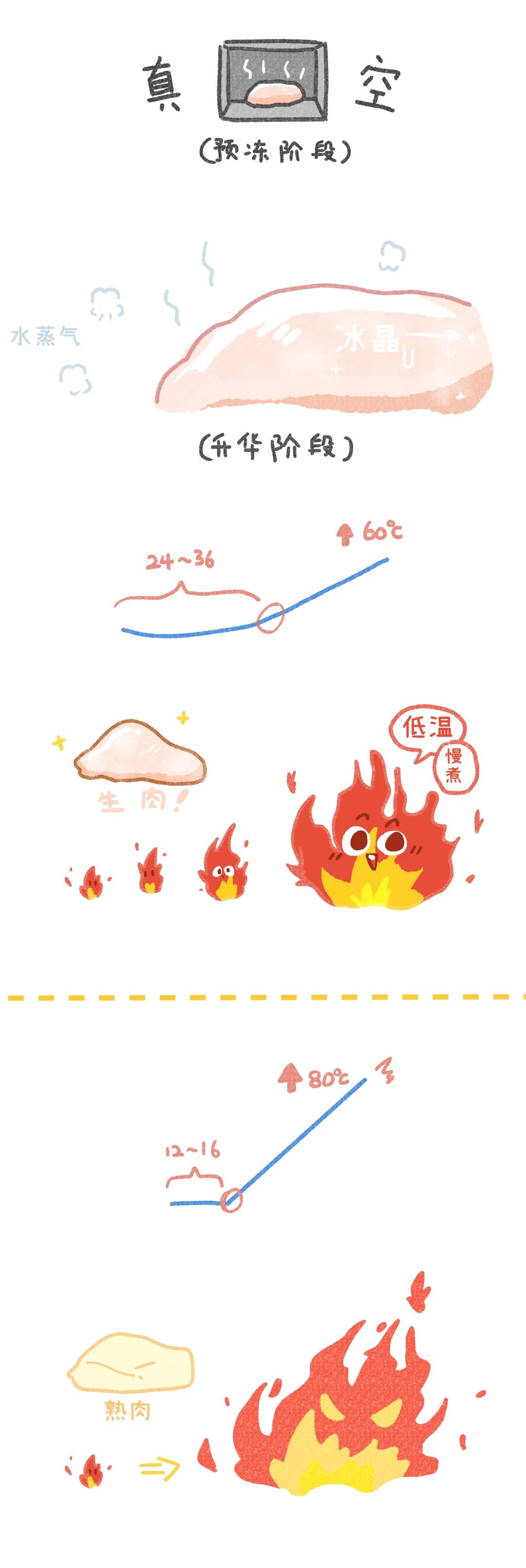 养猫卖宠物用品变现,养猫注意事项和骗局