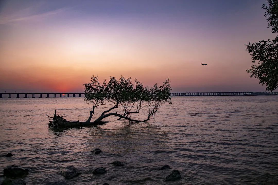 深圳宝安区吃喝玩乐攻略,宝安吃喝玩乐的地方推荐