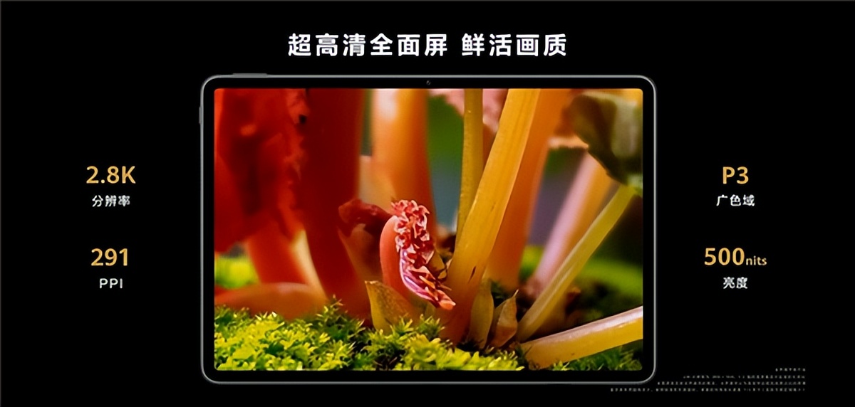 华为matepadpro112024和ipadair,ipadair2020和华为matepadpro