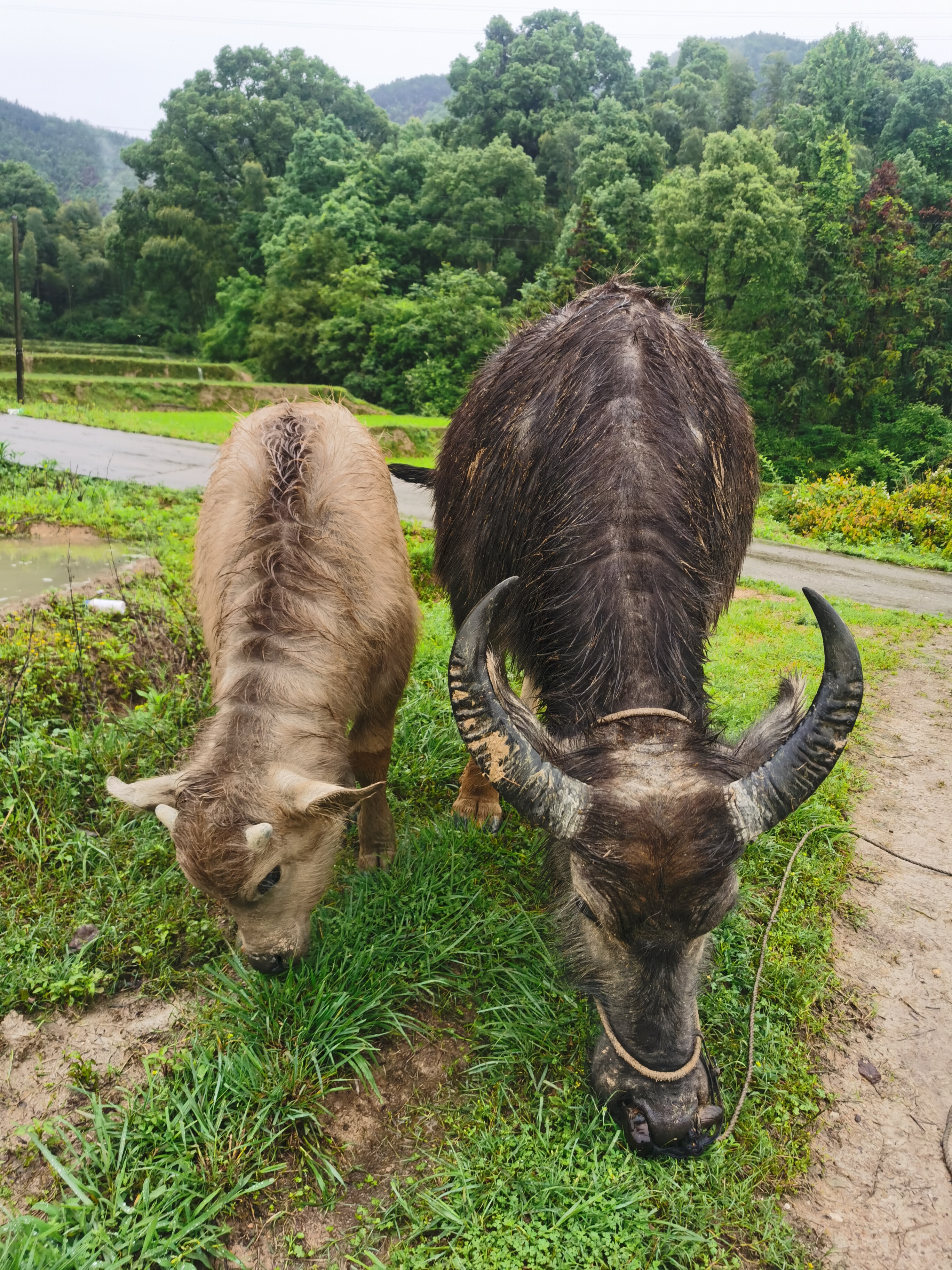 在农村务农一亩地能挣多少钱,种地一亩地能赚500块钱吗