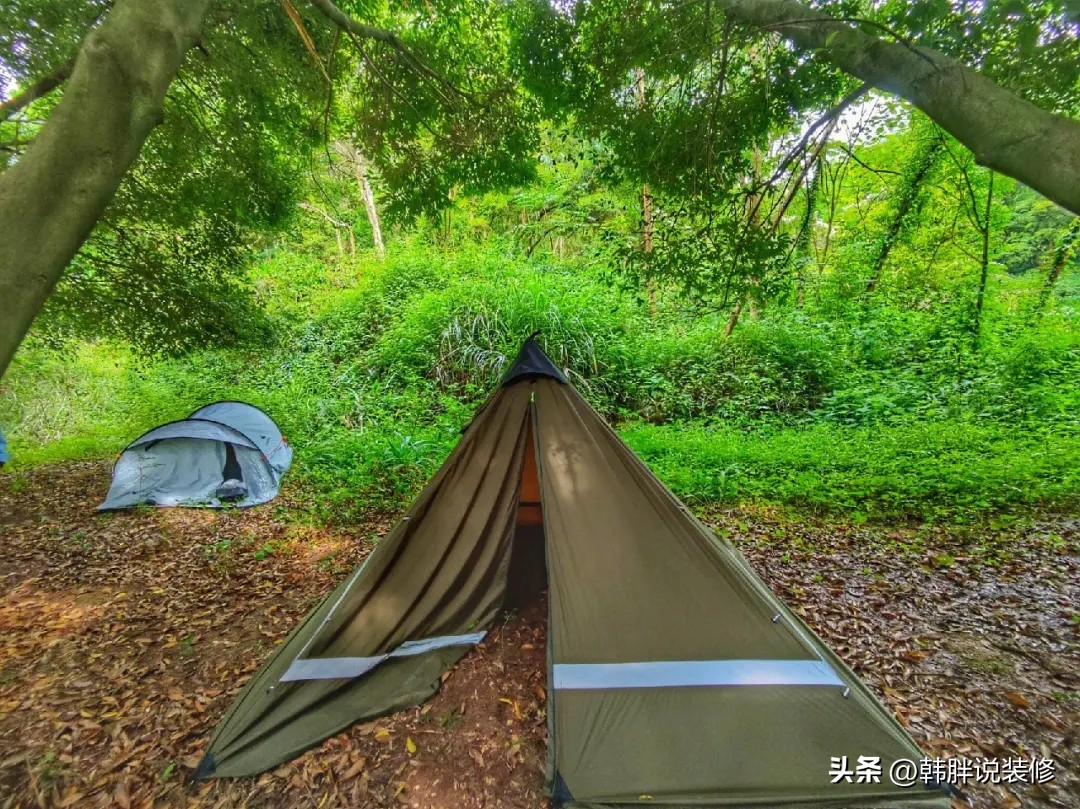 端午必须要挂艾草吗,端午节挂艾草你知道有哪些讲究吗