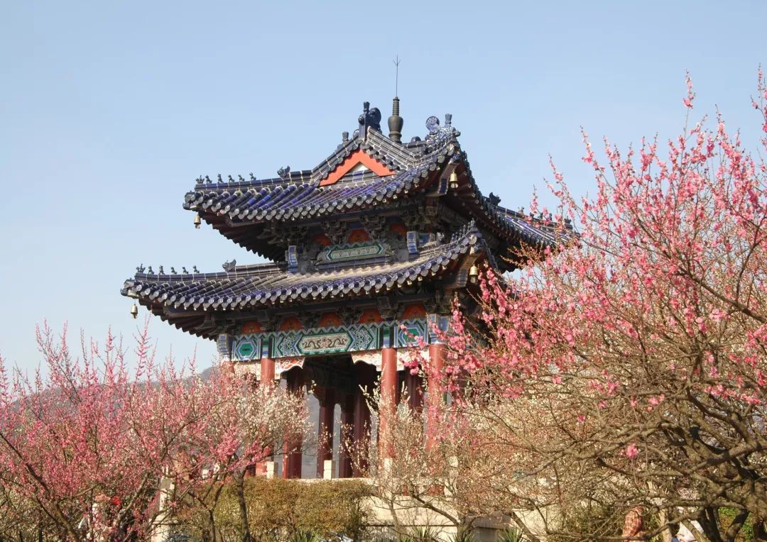 武汉与南京城市哪个漂亮,武汉和其他城市对比