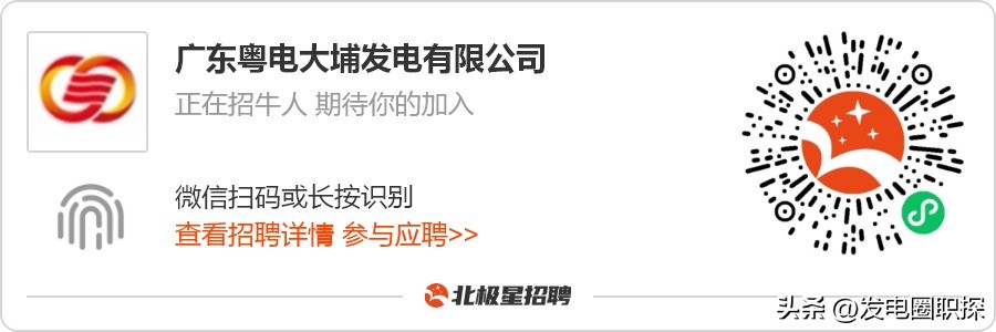 广东粤电大埔,粤电大埔