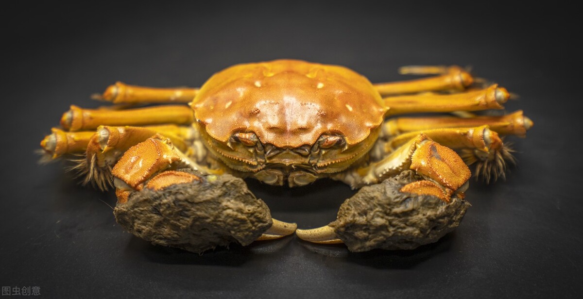 5两大闸蟹的正确蒸煮几分钟,大闸蟹不同大小的正确蒸煮几分钟