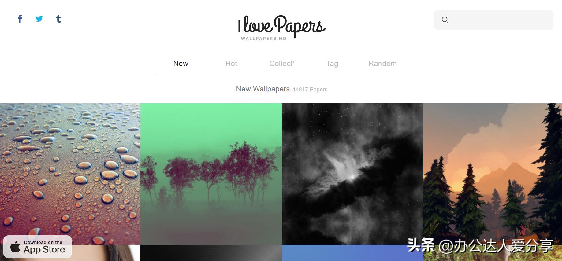 下载免费壁纸的神仙软件,仙女该用的神仙软件壁纸