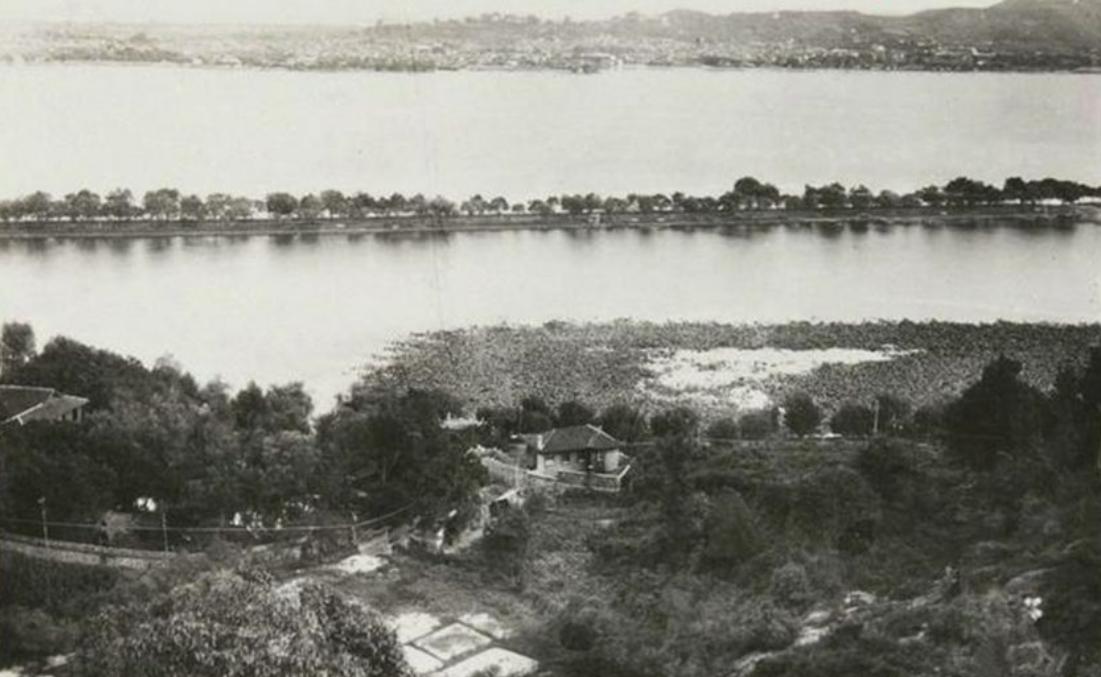 抗日战争时期，许希麟和刘粹刚的绝世之恋：并肩杀敌，深深相爱