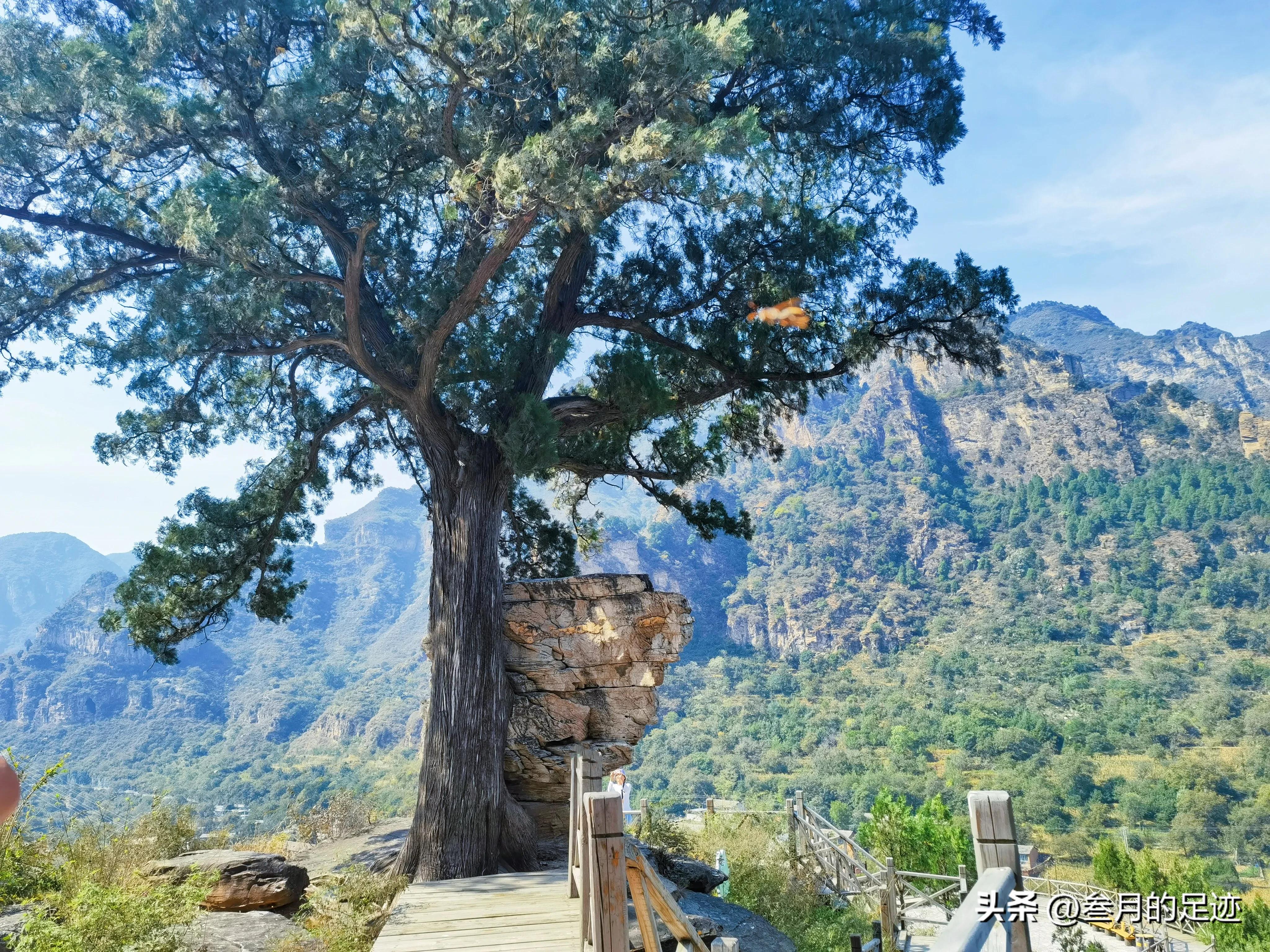 房山红叶最佳地点木栈道,北京房山森林游玩地方推荐