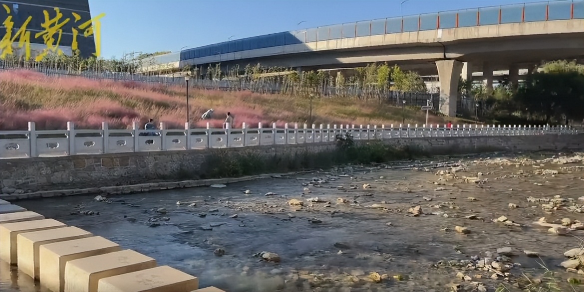 济南小众秋景好的地方,济南最近很火的打卡地秋天