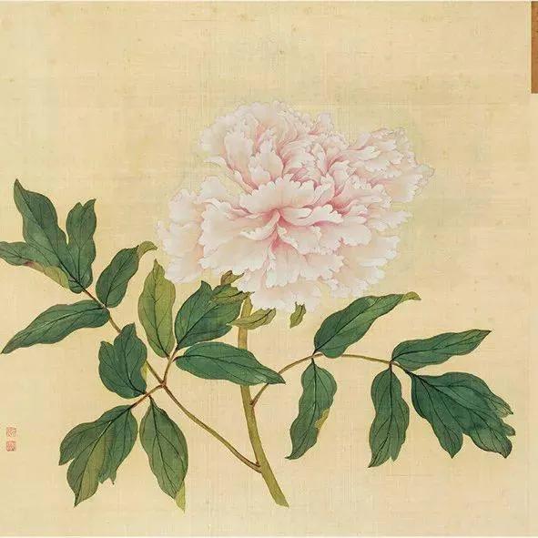 蒋廷锡牡丹画法,蒋廷锡百种牡丹画法