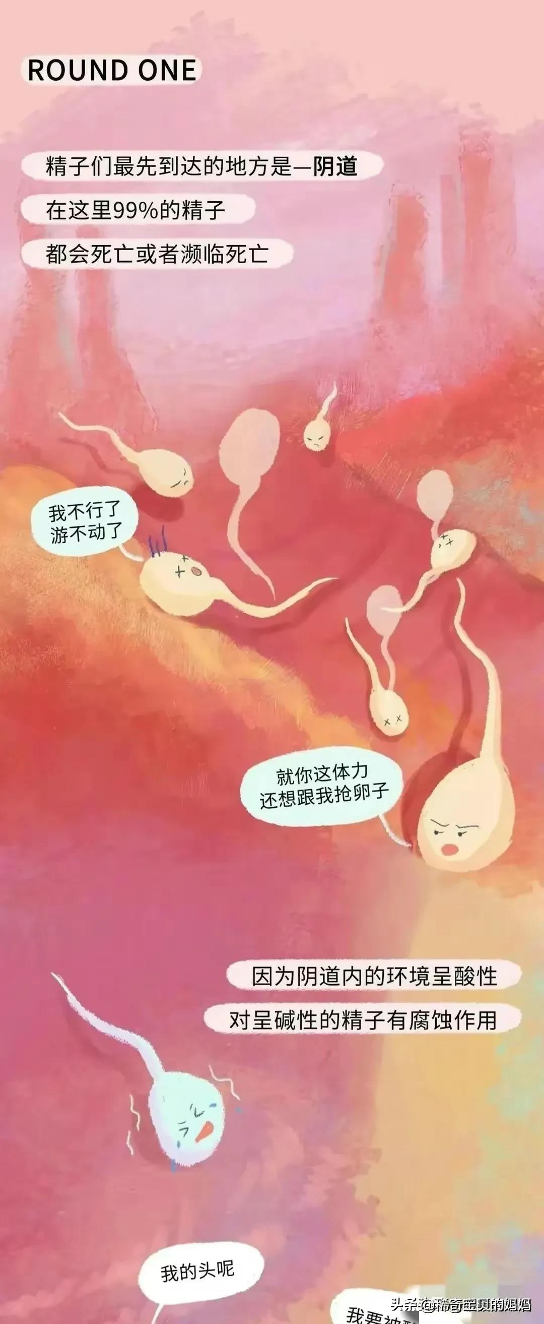 男生的“精子”进入女生体内，会发生怎样的变化？