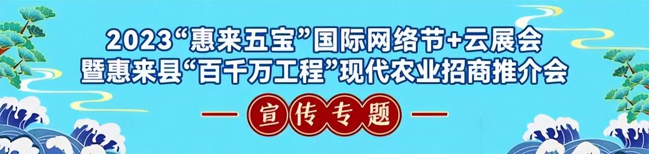 惠来五宝电商怎么样,惠来五宝活动直播间
